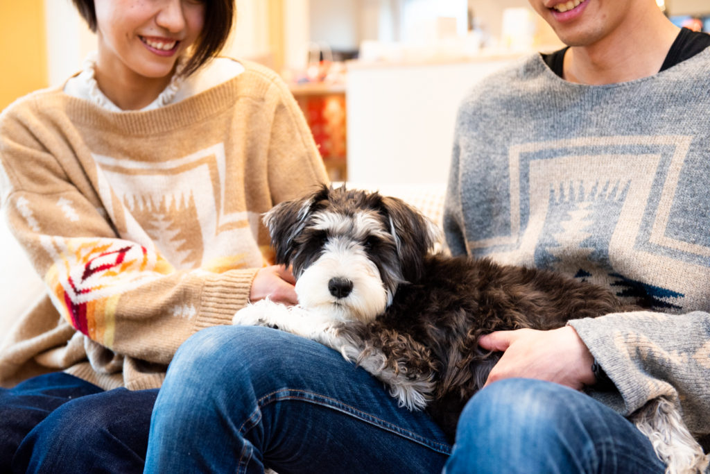 石川県金沢市の写真館が撮る家族と犬の写真A様18