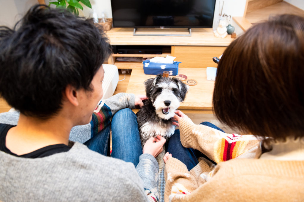 石川県金沢市の写真館が撮る家族と犬の写真A様15