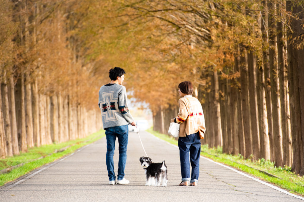 石川県金沢市の写真館が撮る家族と犬の写真A様06